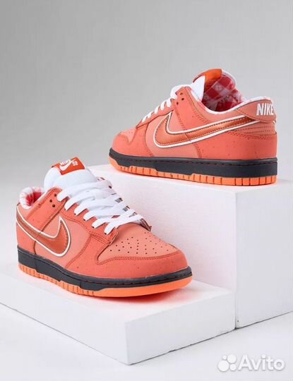 Nike SB Dunk Low SP Orange