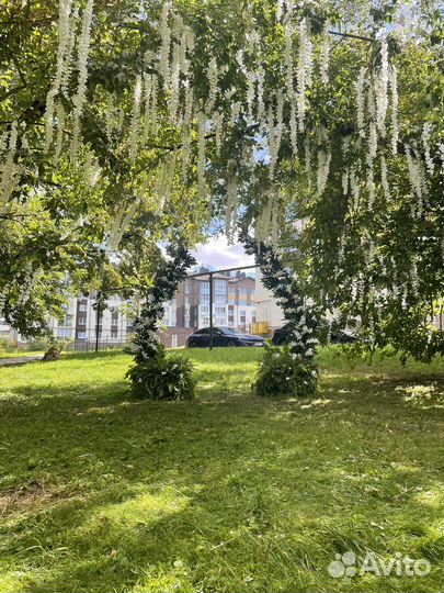 Организация свадеб