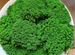 Вечно зеленый мох для декор рейка спилы интерьер