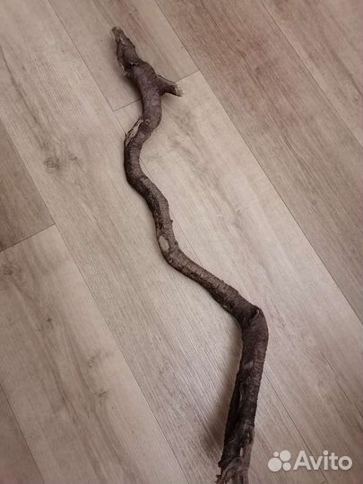 Коряга декоративная