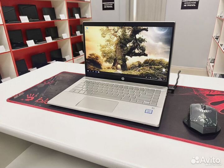 Сочные Ноутбуки / Любой бюджет / Гарантия / Обмен