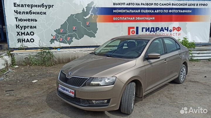 Обшивка двери багажника Skoda Rapid 5JA867755