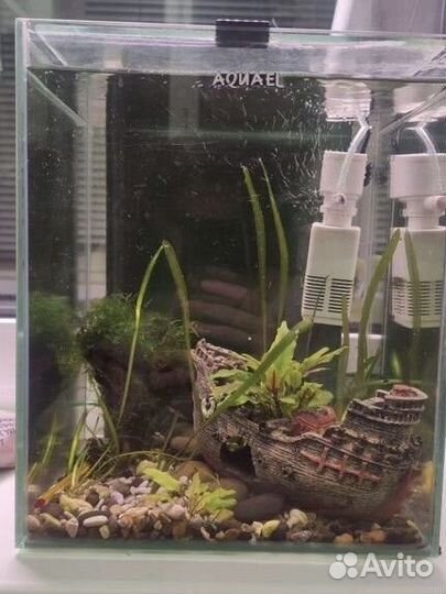Аквариум aquael с крышкой 18 литров