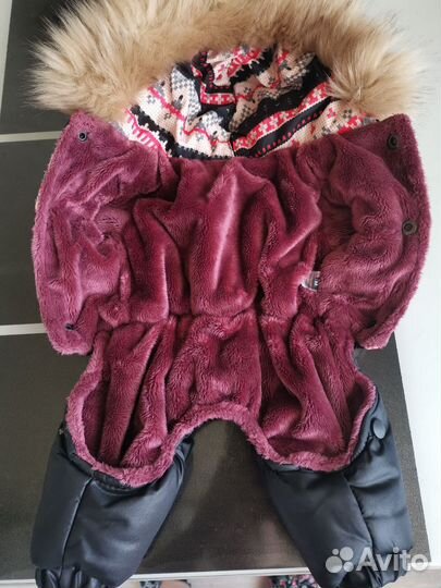 Зимний комбинезон для собак мелких пород