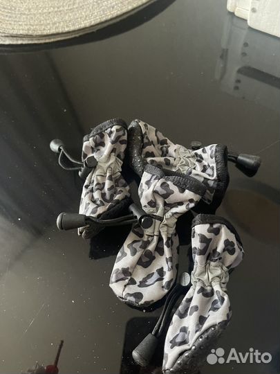 Одежда для собак мини и обувь