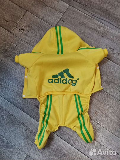 Костюм для собаки