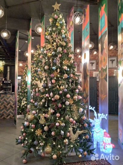 Аренда и декор высотных и домашних елей