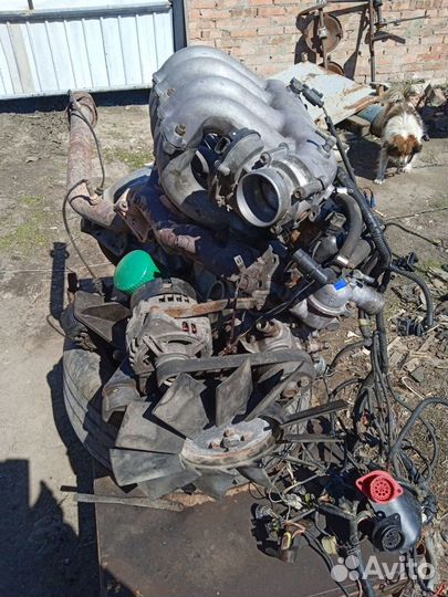 Двигатель на газель умз 4216 евро 4