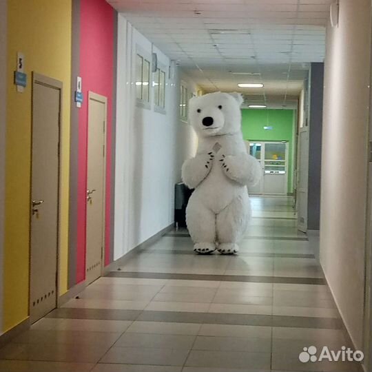 Лис, Мишка и Панда на праздник