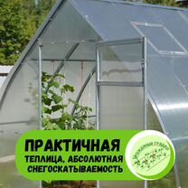 Теплица капелька