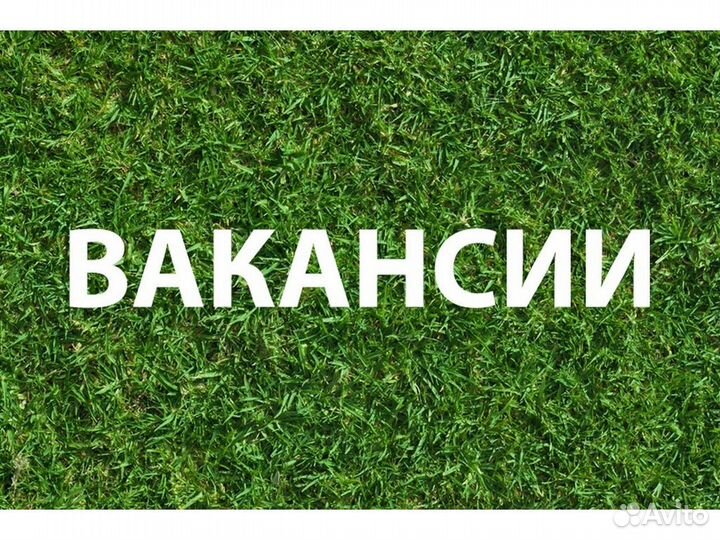 Комплектовщик вахта до 85 смен проживание