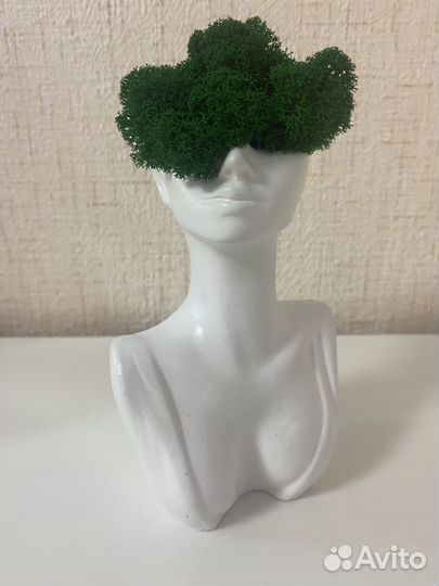 Стабилизированый мох в кашпо, гипсовые фигуры