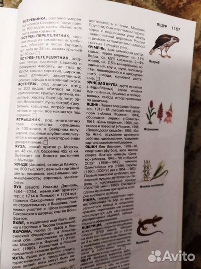 Энциклопедия