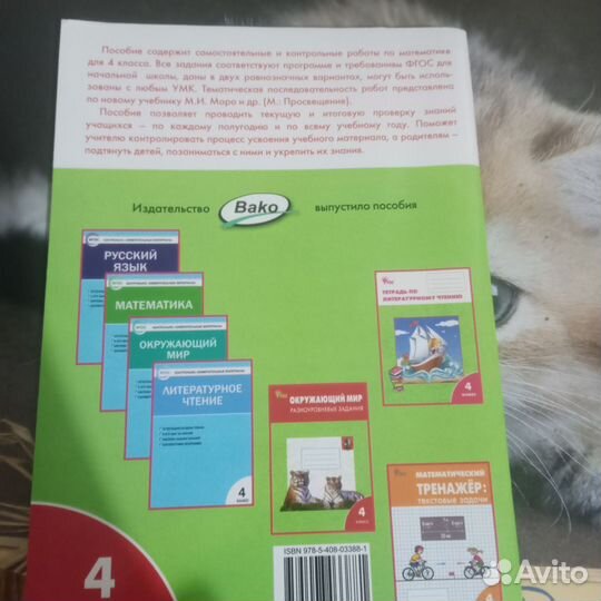 Тетради для работ по школьным предметам, 4 класс