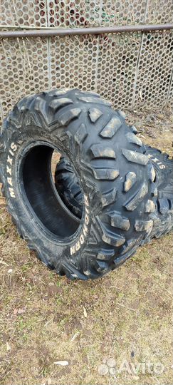 Шины maxxis bighorn