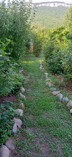 Дом 60 м² на участке 13 сот.