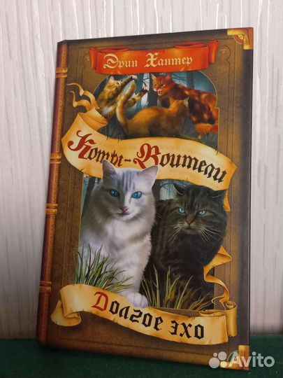 Коты-Воители