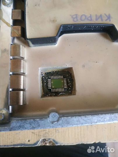 Шитые мозги на реногора f3r наличие