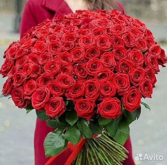 Розы Высокие 150см 160см 170см 180см 190см 2м