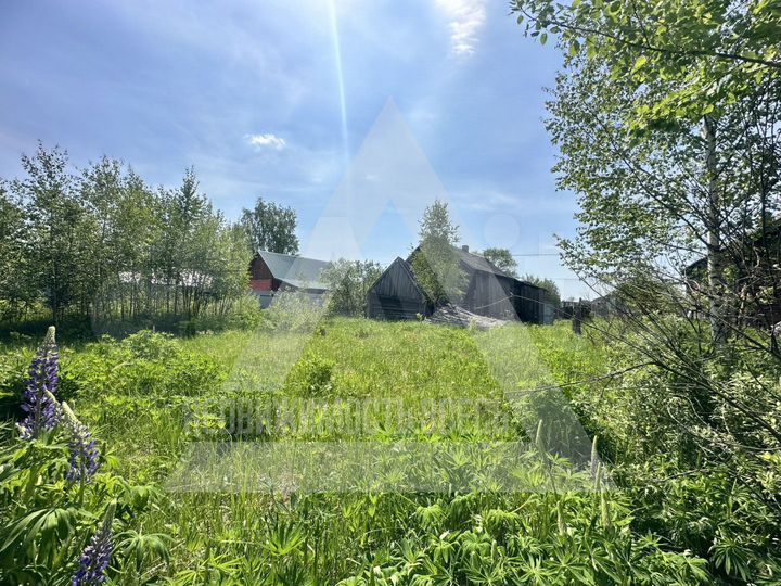 Участок 10,2 сот. (личное подсобное хозяйство (лпх))