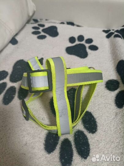 Шлейка для собаки