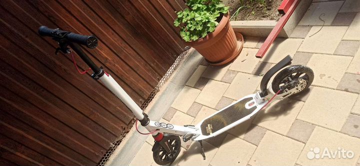 Городской самокат TechTeam City Scooter Dick Brake