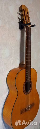 Классическая гитара из гдр, Musima
