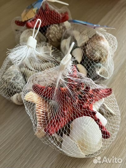 Морские ракушки