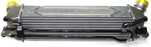 Радиатор масляный grand starex (2007) 281904A481