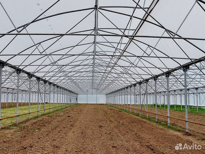 Теплица многорядная блочного типа