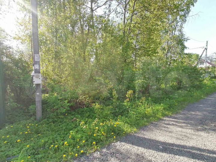 Участок 7,1 сот. (СНТ, ДНП)