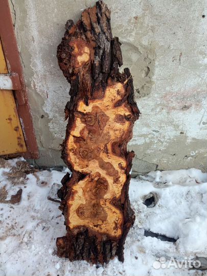 Слэбы Капового карагача