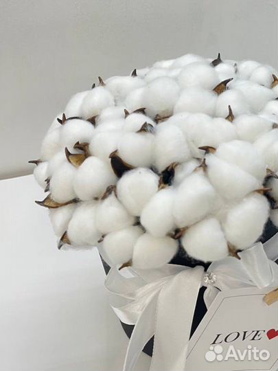 Хлопок в коробке