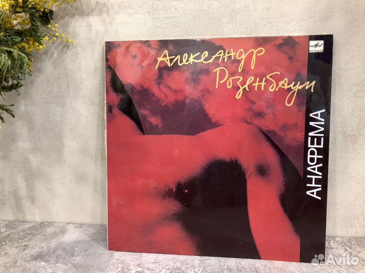 Виниловые пластинки с песнями Розенбаума