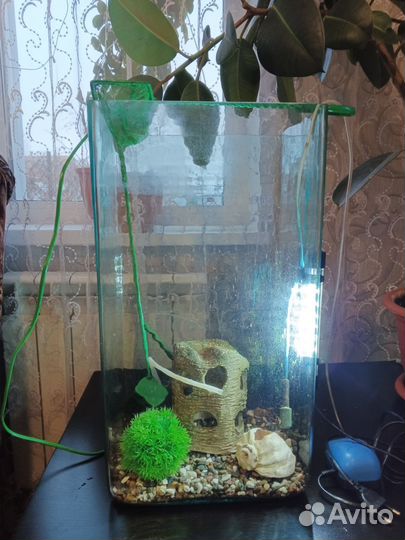 Аквариум