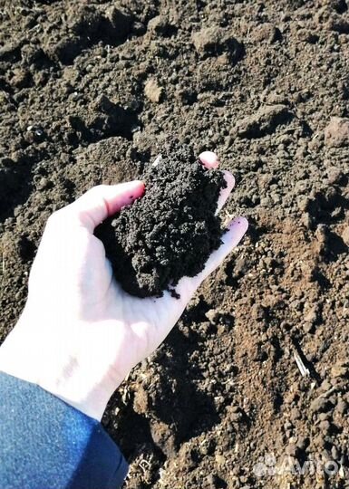 Грунт для поднятия участка