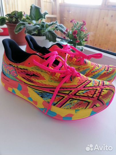 Asics noosa tri 15