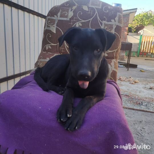 Мальчик Веня ищет дом