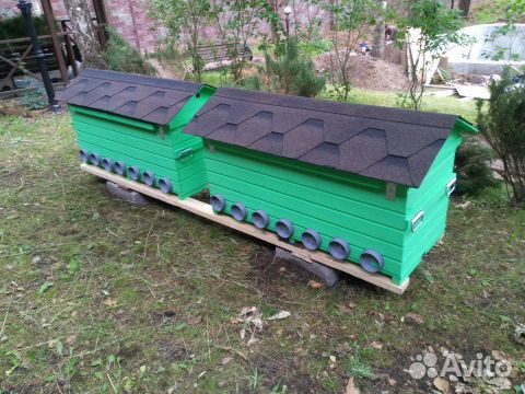 Пасека под ключ на Владимирских ульях-лежаках