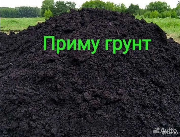 Приму грунт