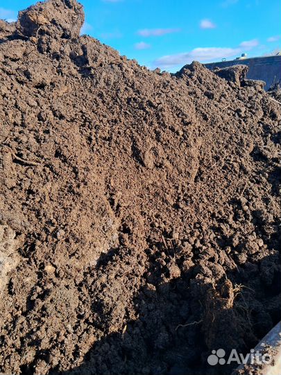 Перегной из под грибов шампиньонов