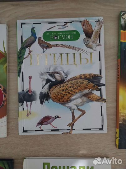 Детские энциклопедии