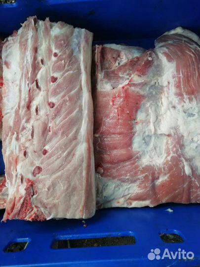Мясо свинина