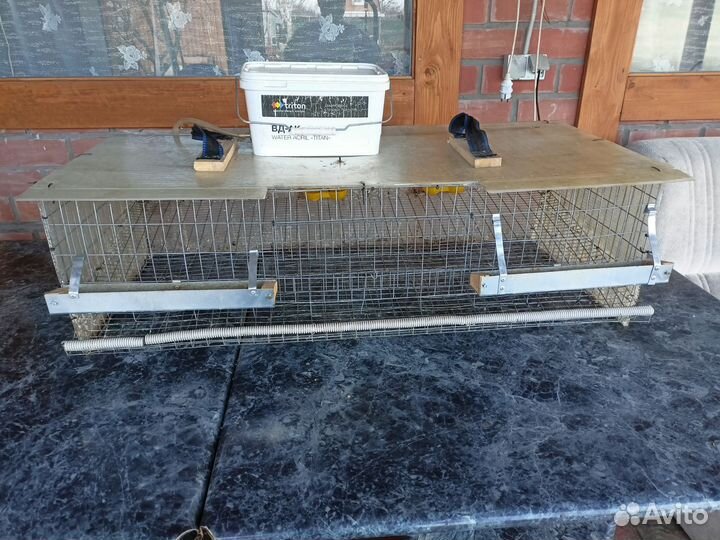 Клетки для перепелов бу