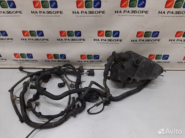 Проводка двигателя Audi Q7 4LB 4.2 2006