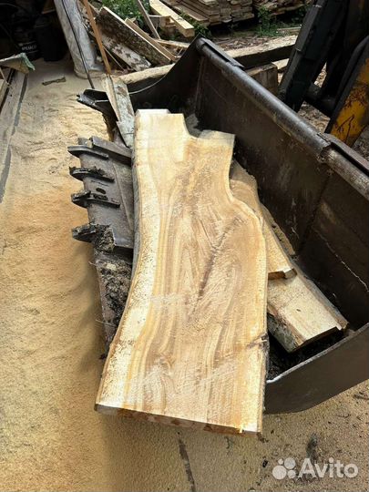 Слэб дерева