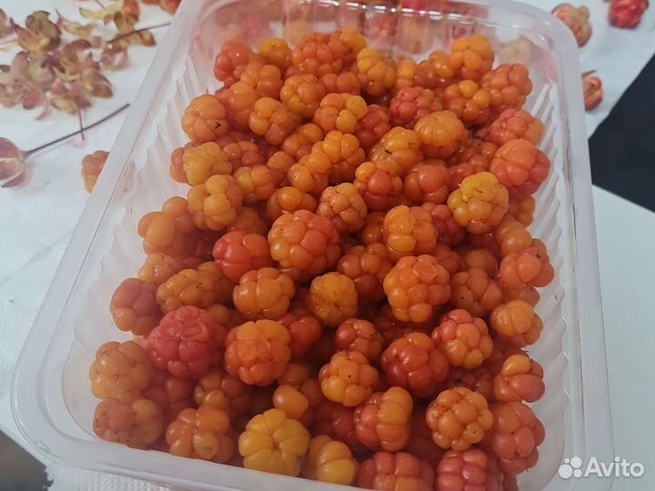 Морошка свежая