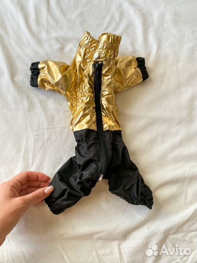 Одежда для собак