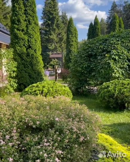 Благоустройство территории. Ландшафтный дизайн