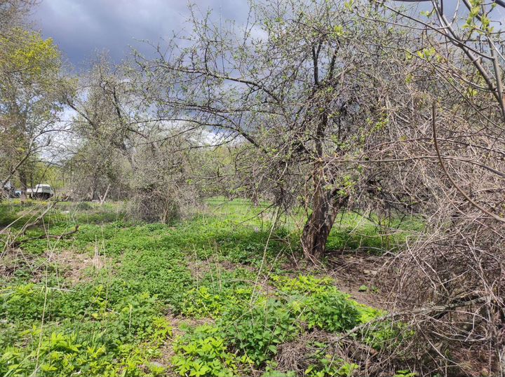 Участок 42 сот. (ИЖС)